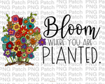 Bloom Where You are Planted , Floral PNG File, Flowers Sublimation Design